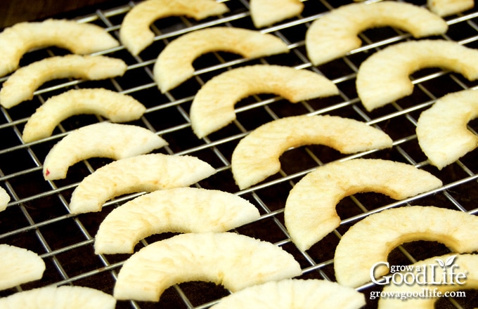 apple pieces spread out on a baking rack to dry in the oven
