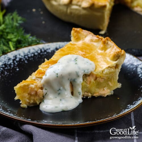 FrenchCanadian Salmon Pie