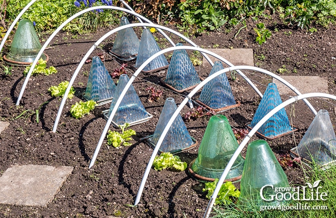 garden cloches