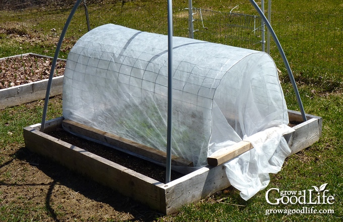 row cover draped over wire fencing as frost protection