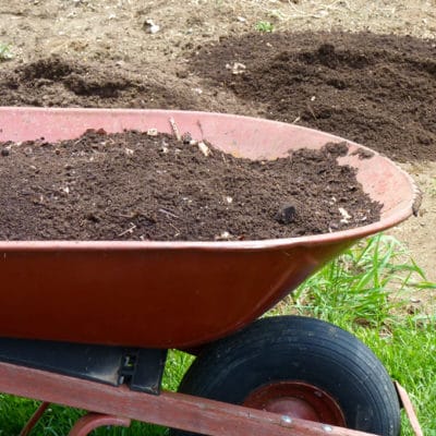 7 Simple Techniques to Improve Garden Soil