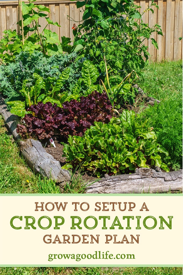 It is beneficial to rotate plant families from one garden bed to another each growing season. Vegetables that are in the same family use similar nutrients and are vulnerable to the same pests and diseases. Discover the benefits of crop rotation and how to apply it to your backyard vegetable garden.