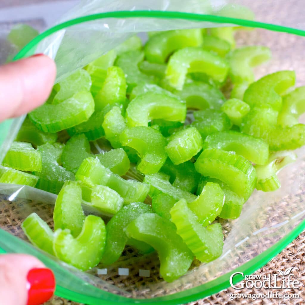 Celery slices in a freezer bag.