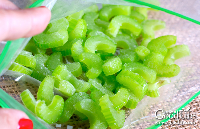 celery slices in a freezer bag