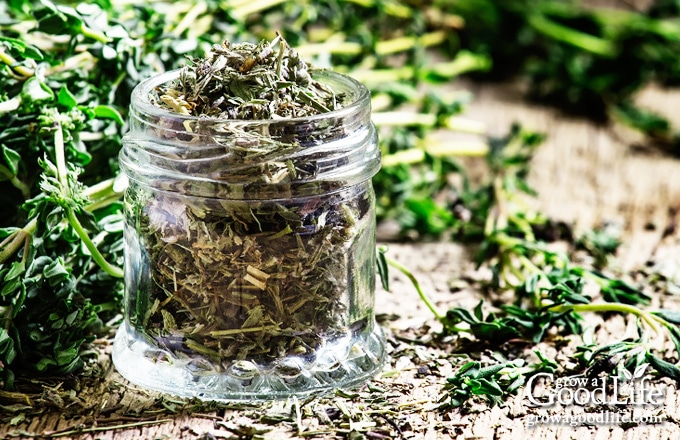 jar of dried thyme on a table