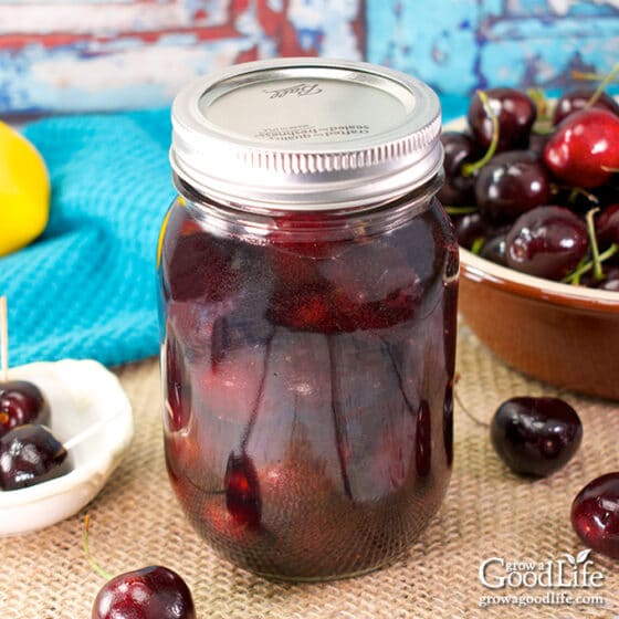 Bourbon Cherries Canning Recipe