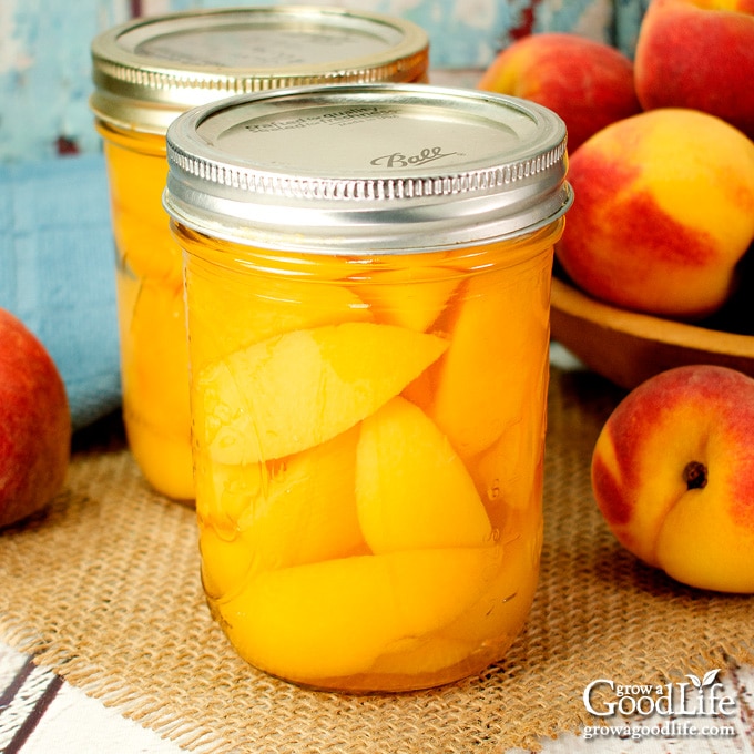 jars of home canned peaches on a table