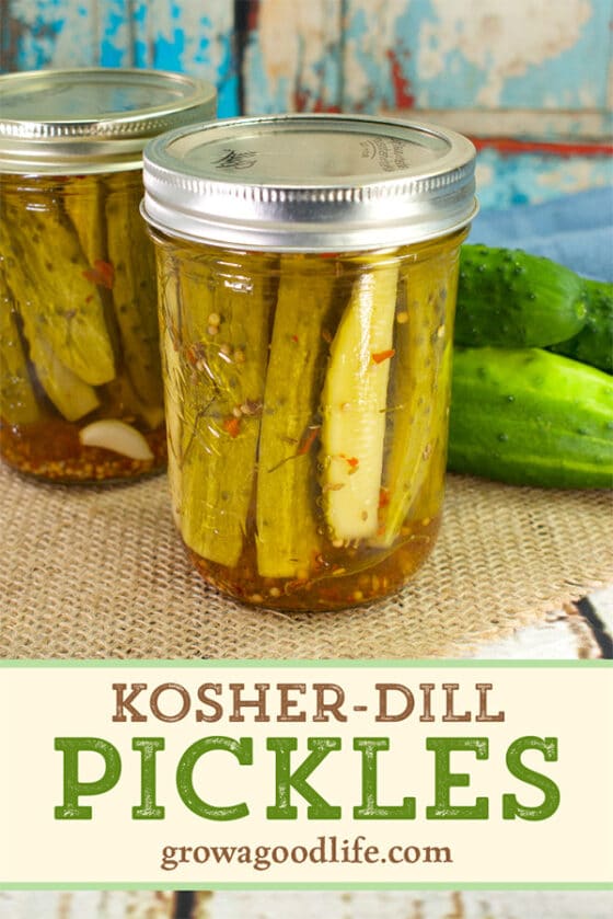 KosherStyle Dill Pickles Canning Recipe