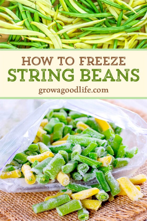 How to Freeze String Beans