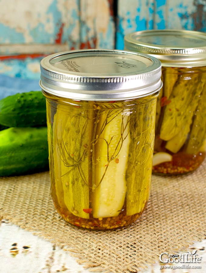 Kosher Style Dill Pickles Canning Recipe