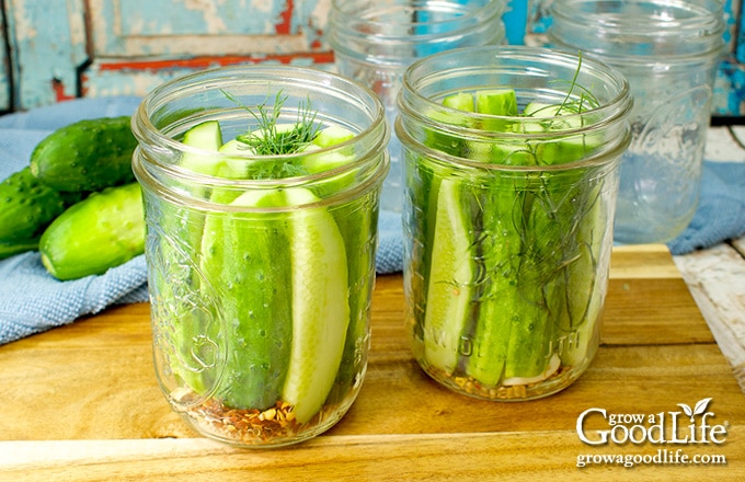pickle slices packed in two canning jars