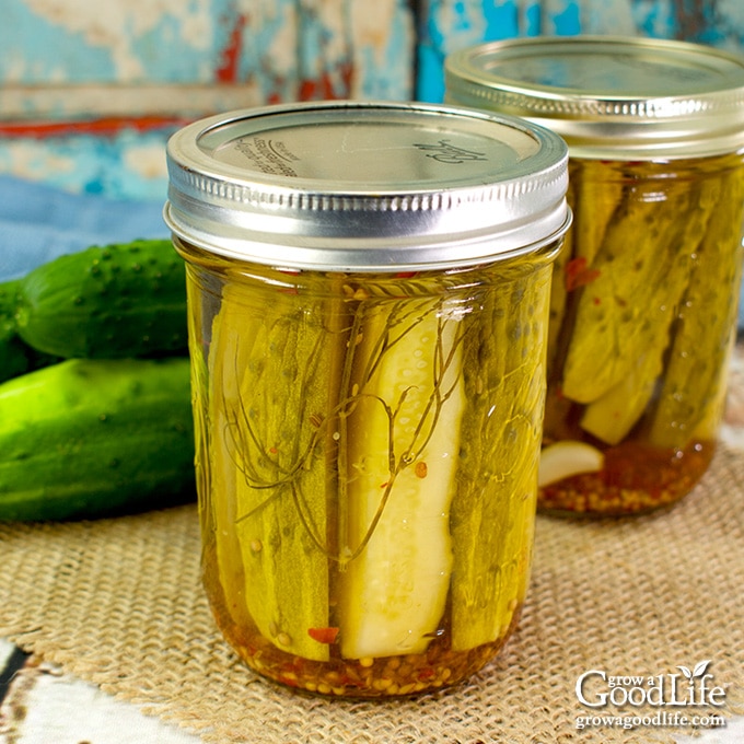 two jars of home canned dill pickle spears on a table