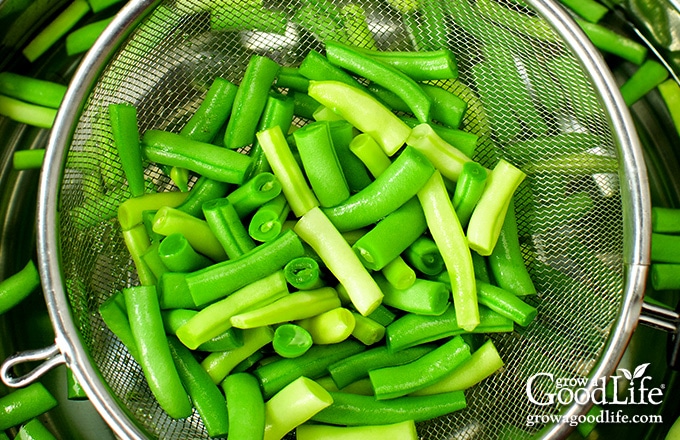 cut string beans in a pot of boiling water
