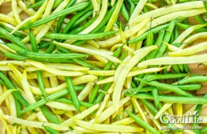 How to Freeze String Beans