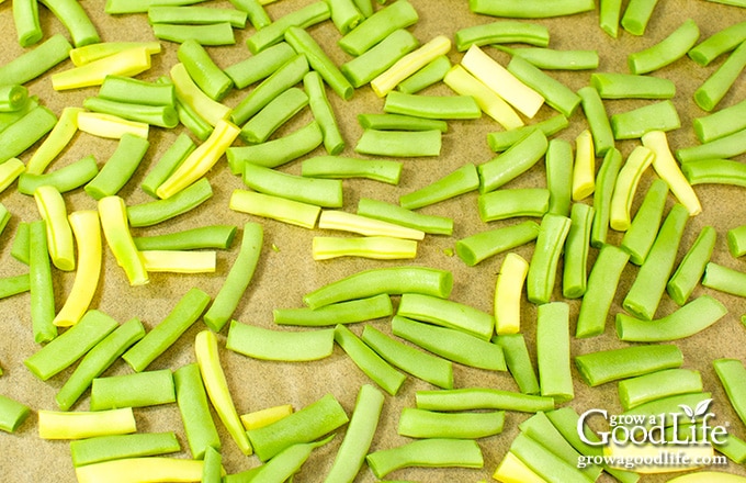green and yellow string beans on a baking tray