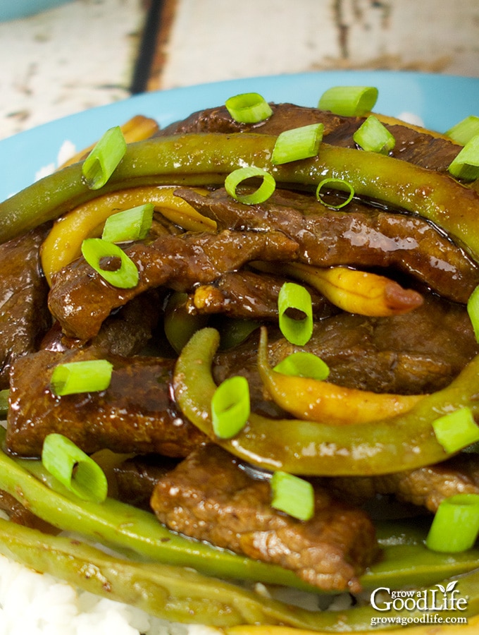 closeup of a plate of stir-fried beef and string beans over white rice