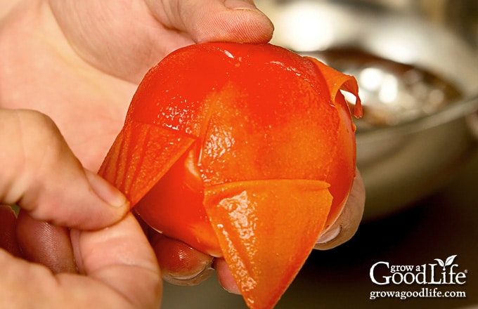 closeup photo of peeling tomatoes