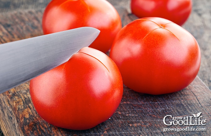 closeup of a knife cutting an "X" into the bottoms of tomatoes