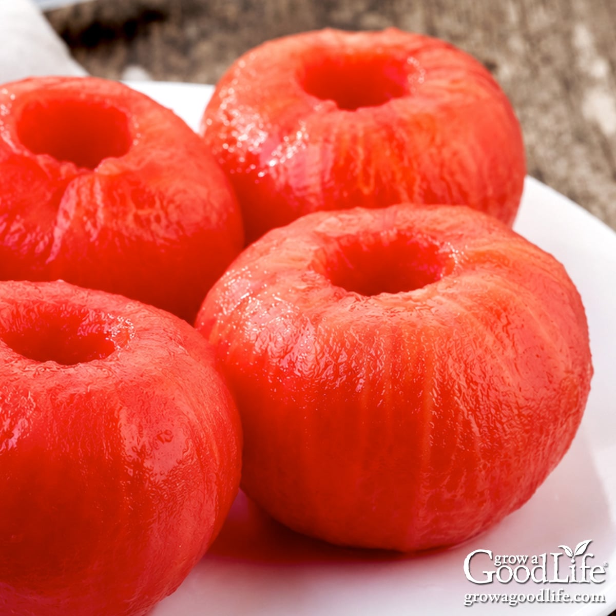 Peeled tomatoes on a white plate after blanching and removing the skins.