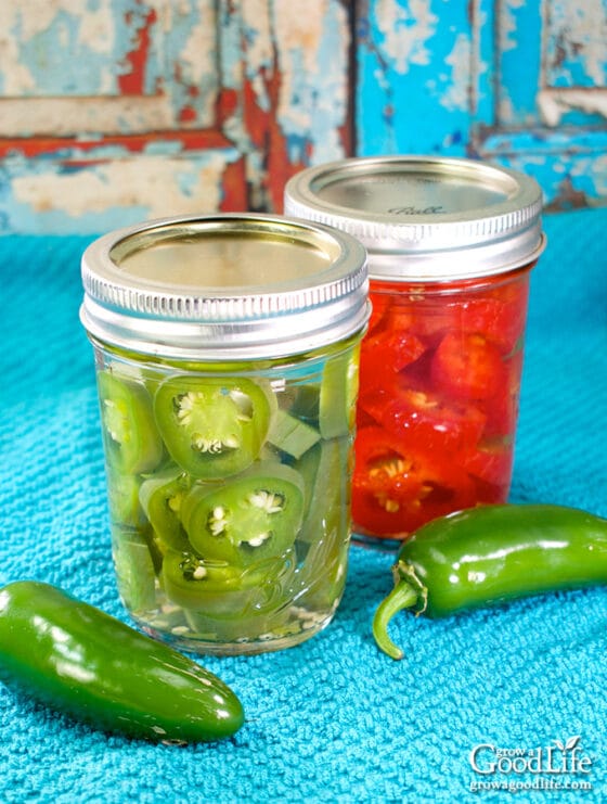 Pickled Jalapeño Pepper Rings Canning Recipe