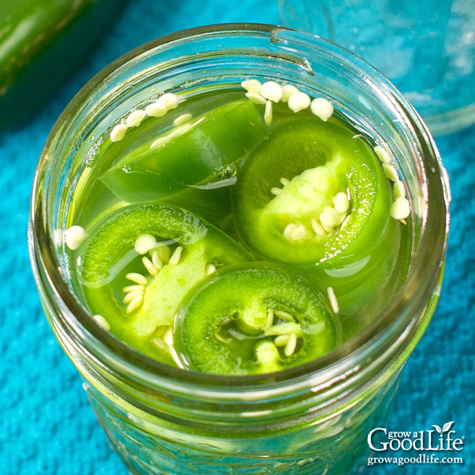 fill the jars with jalapenos and pickling brine