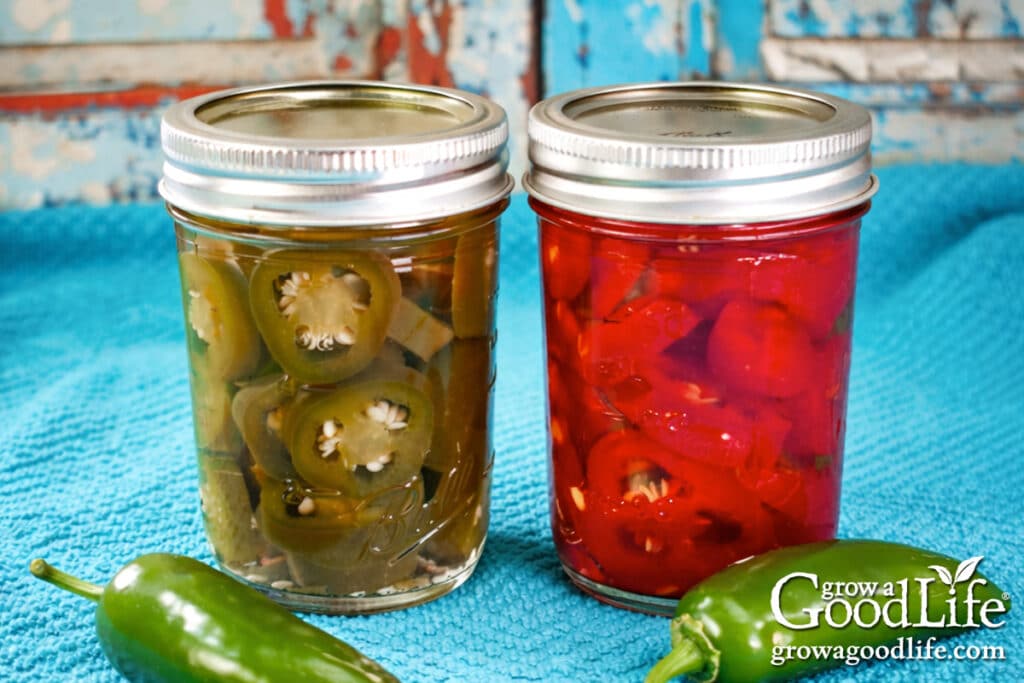 Two jars of canned pickled jalapeños, one made with green peppers and one with red.