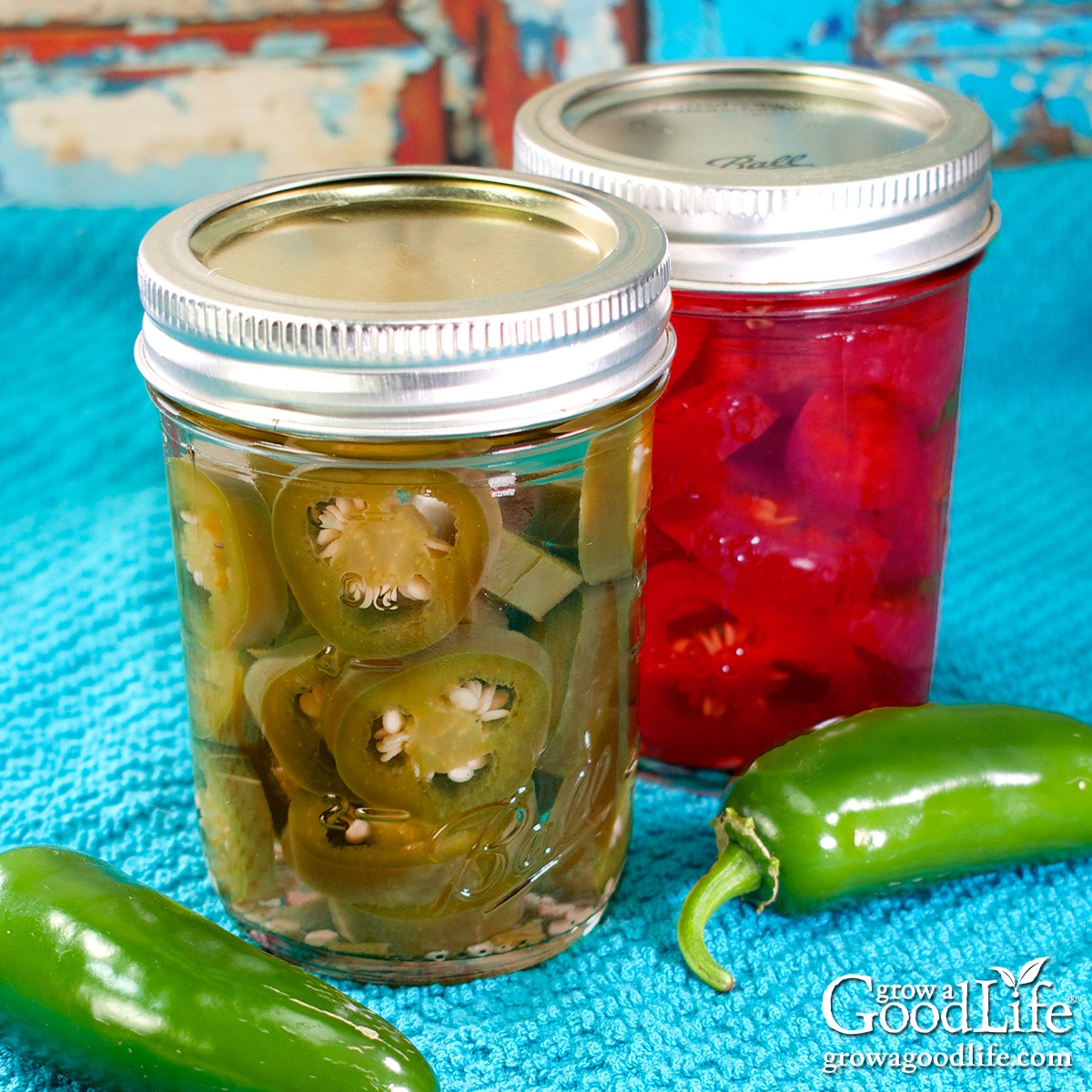 Jars of home-canned pickled jalapeños made with red and green peppers.