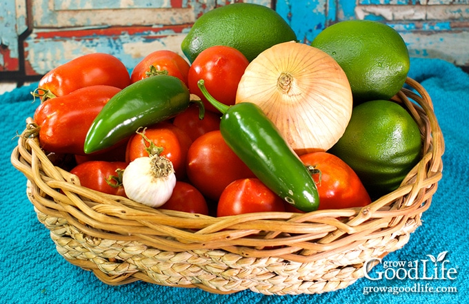 basket of salsa ingredients