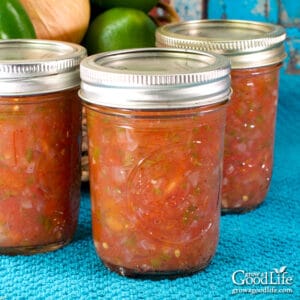 half pint jars of jalapeno salsa on a blue towel