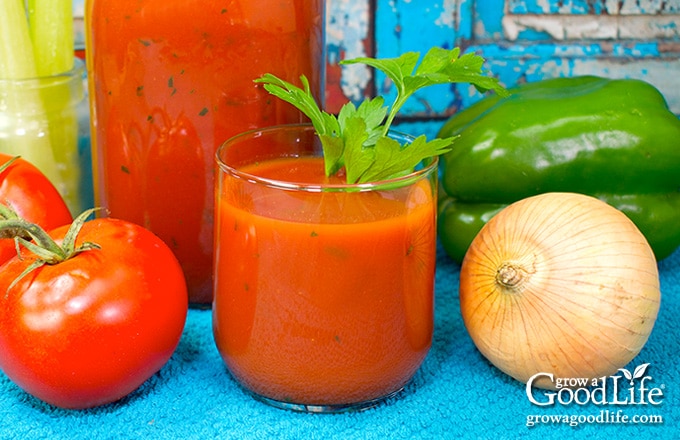 glass of tomato vegetable juice with sprig of parsley