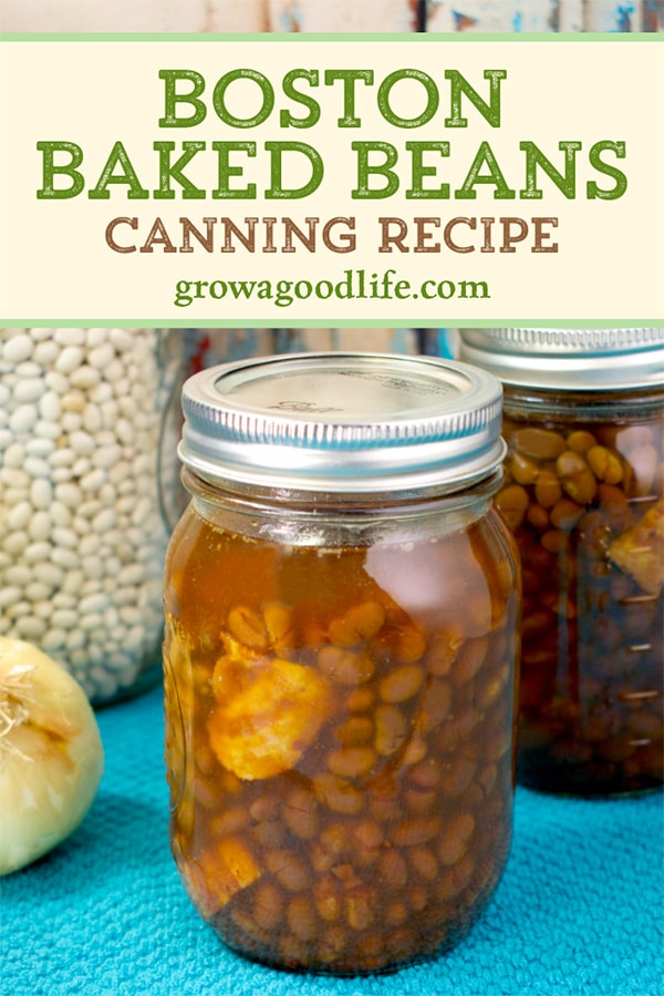 Boston Baked Beans Canning Recipe