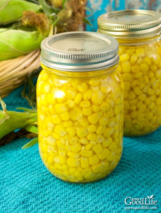 Canning Corn How to Can Whole Kernel Corn