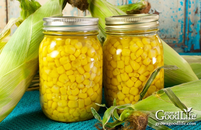 jars of canned corn on a table