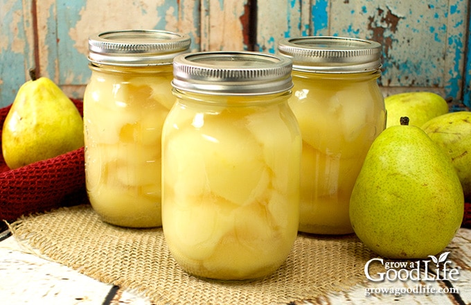 three jars of canned pears on a table