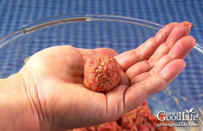 Hand holding a raw meatball shaped for sweet and sour meatballs recipe.