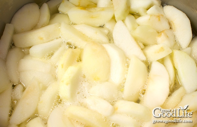 simmering apple slices in pot