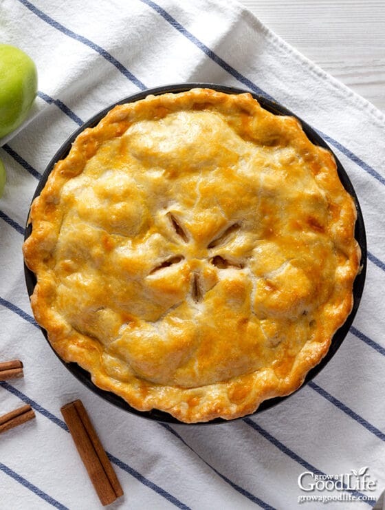 AllButter Flaky Pie Crust Recipe