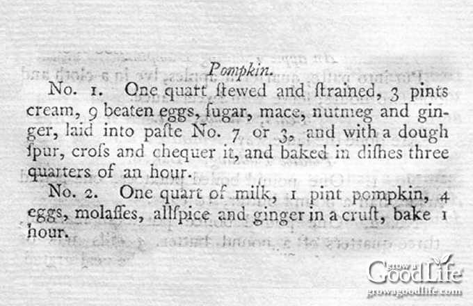 screenshot of American Cookery by Amelia Simmons