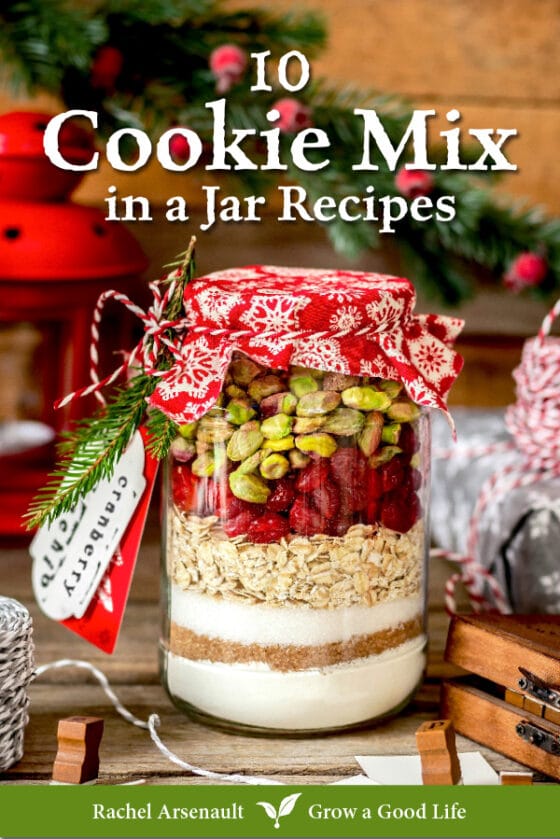 10 Cookie Mix In A Jar Recipes EBook Grow A Good Life