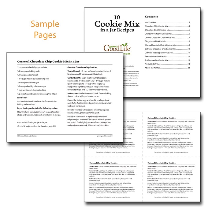 sample pages from 10 Cookie Mix in a Jar Recipes eBook