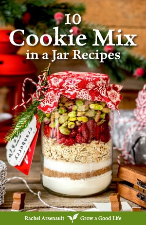 cover image for 10 Cookie Mix in a Jar Recipes eBook