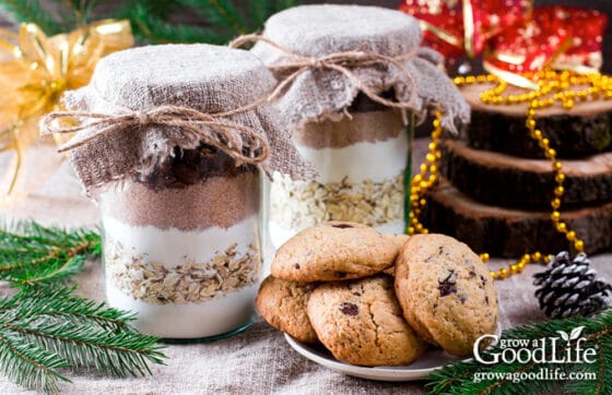 Oatmeal Chocolate Chip Cookie Mix in a Jar