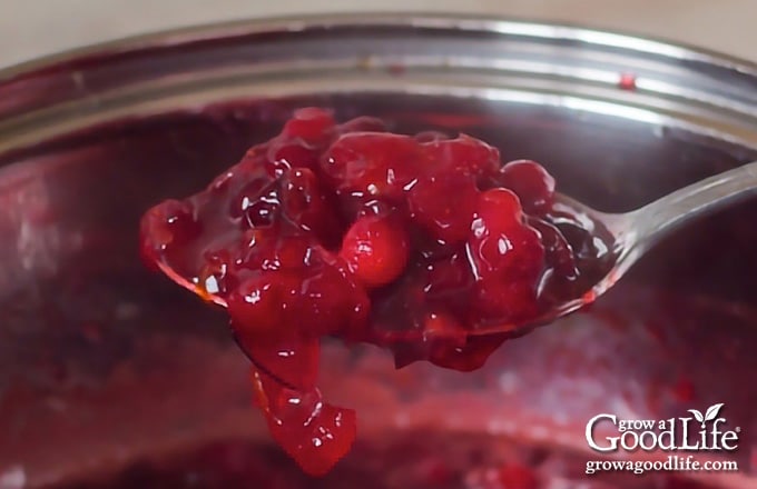 cooked cranberry sauce on a spoon