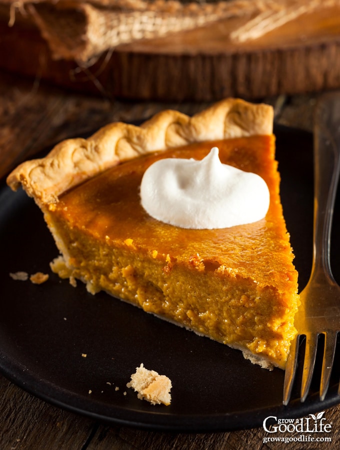 Slice of pumpkin pie on a table