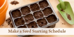 seed starting tray filled with soil