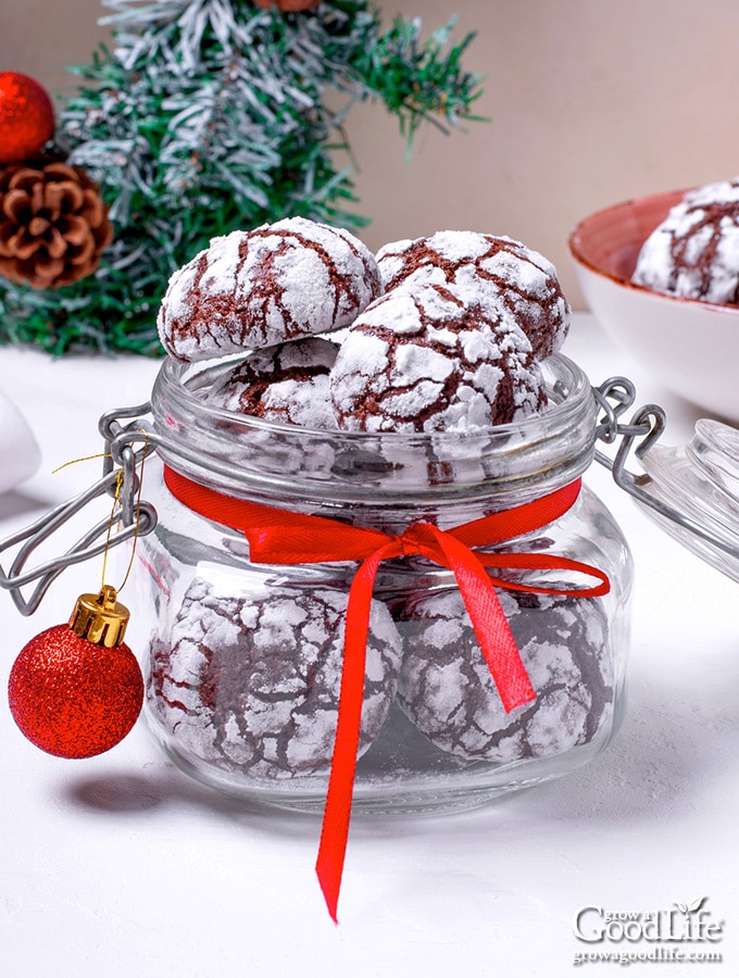 jar of chocolate crinkle cookies with christmas decorations