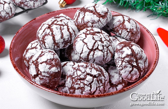 chocolate crinkle cookies in a bowl on a table
