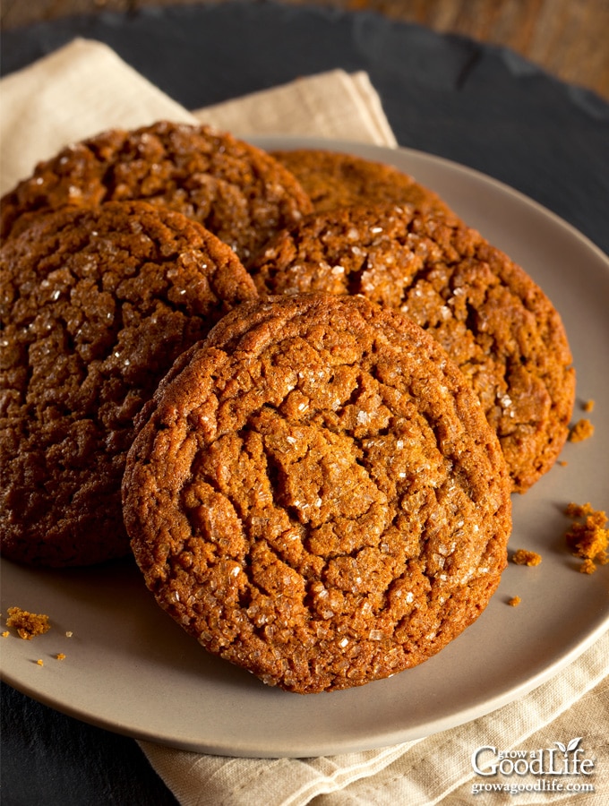 gingersnaps on a plate