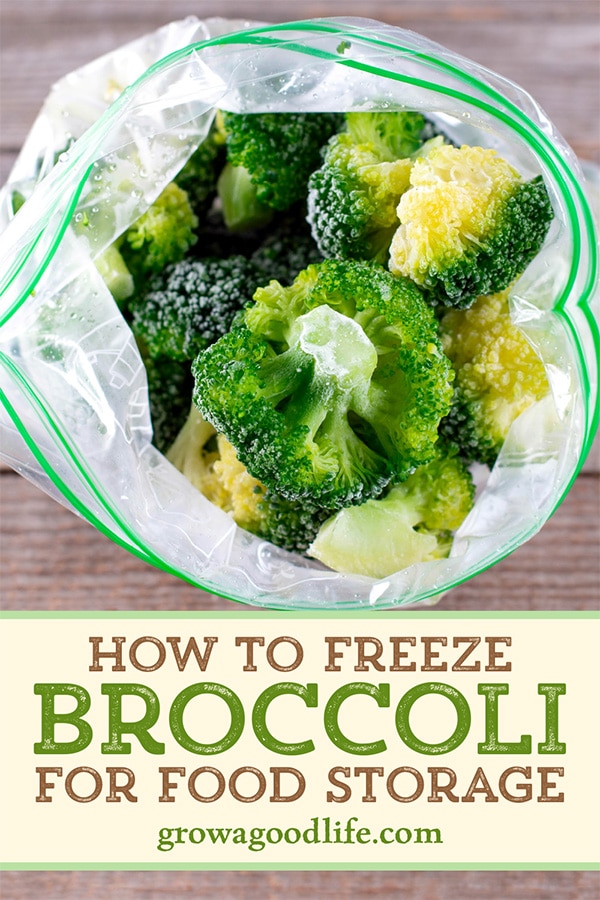 How to Freeze Broccoli