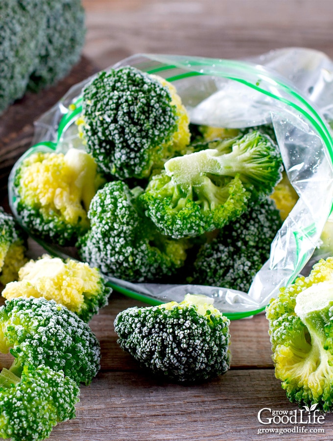 image of frozen broccoli in a freezer bag and scattered on a table